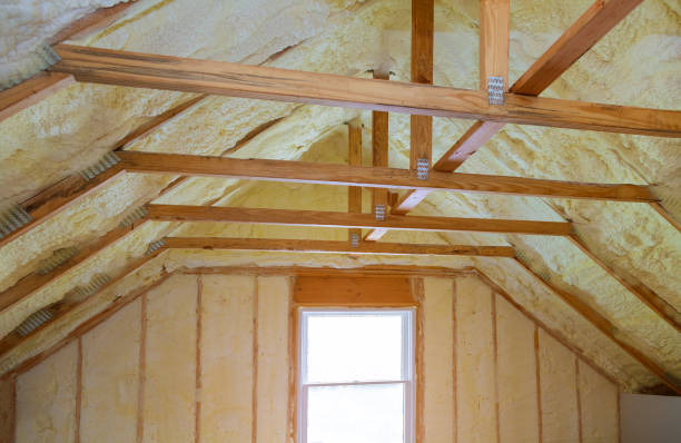 Best Attic Insulation Installation  in Shady Shores, TX