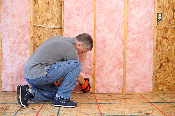 Best Wall Insulation Contractor  in Shady Shores, TX