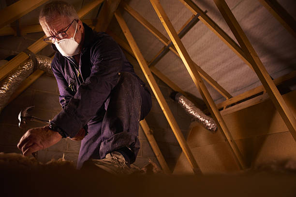 Best Best Insulation Companies  in Shady Shores, TX