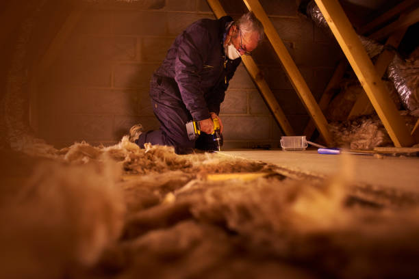 Best Insulation Removal  in Shady Shores, TX