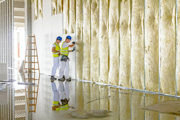 Best Attic Insulation Installation  in Shady Shores, TX